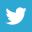 logo-mini-twitter